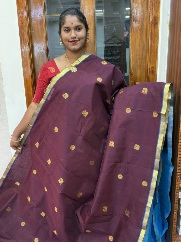 Silk Cotton Medium Body Buttas Brown And CS Blue(SCMBB89)