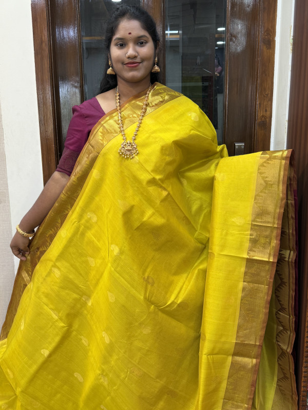 Silk Cotton Medium Body Buttas Yellow And Maroon(SCMBB54)