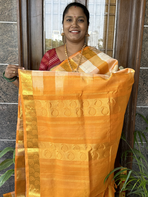 Arani kovai paalum pazhamum checked pattu saree – www.vannamayil.com